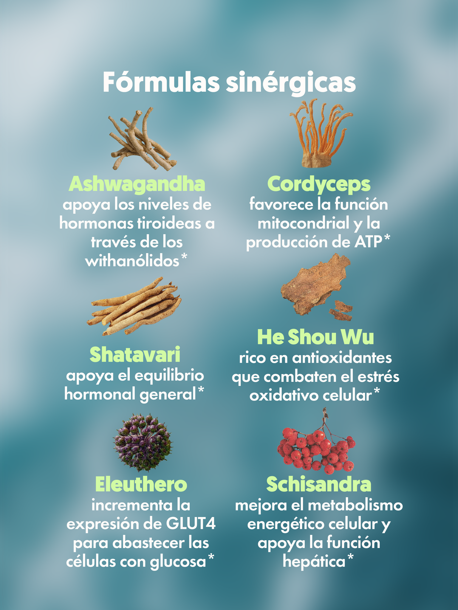 Gráfico con los ingredientes del HI, ENERGY, spray con adaptógenos, como Ashwagandha y Cordyceps, y sus funciones.