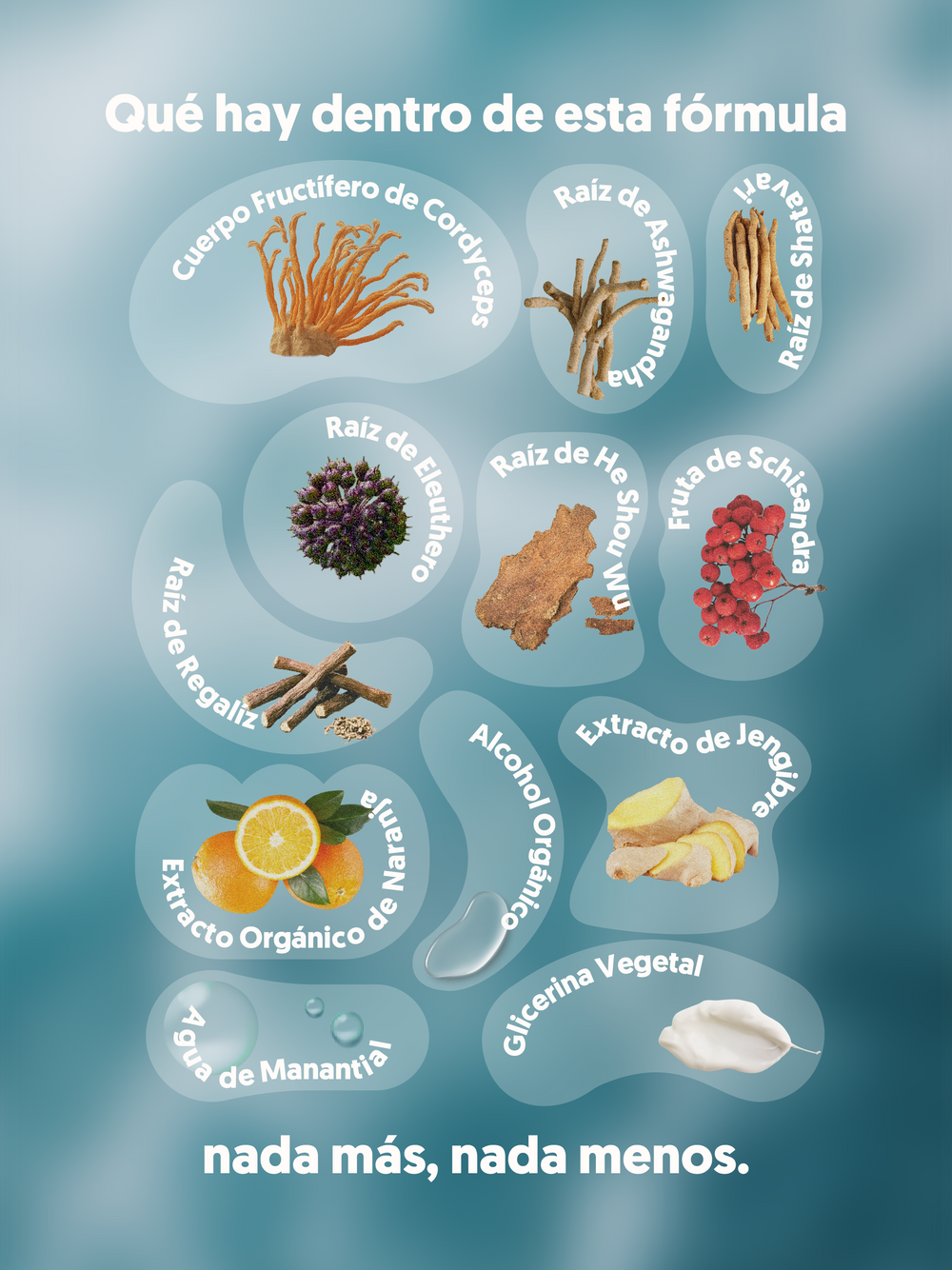  Infografía con los ingredientes del HI, ENERGY, spray con adaptógenos. Se muestran raíces, frutos y otros extractos.