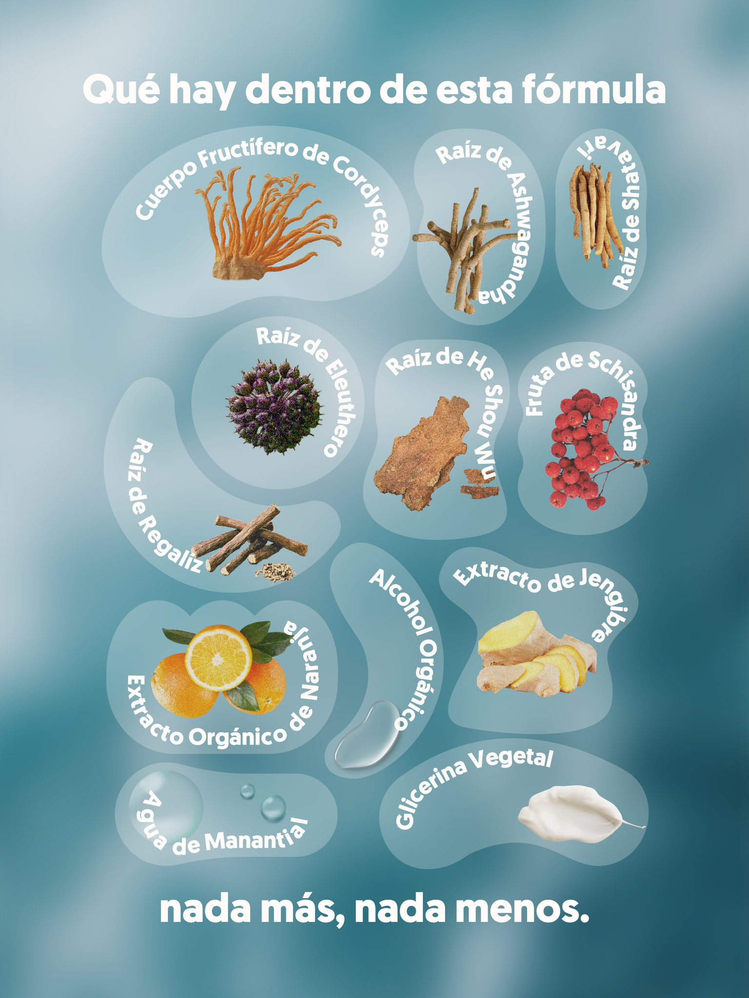  Infografía con los ingredientes del HI, ENERGY, spray con adaptógenos. Se muestran raíces, frutos y otros extractos.