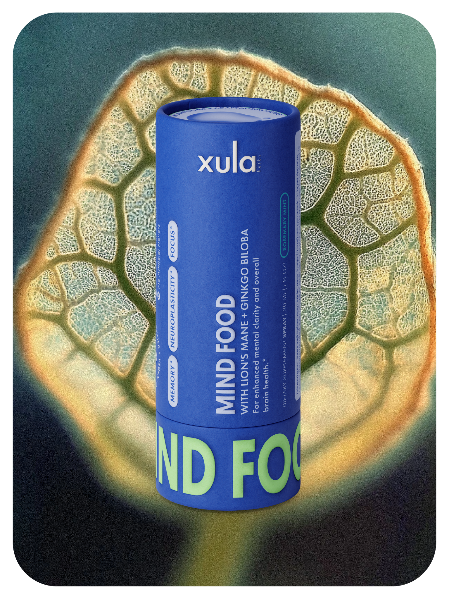 Un Tubo de MIND FOOD que es un Spray con adaptógenos sobre una imagen de fondo de la estructura de una hoja.