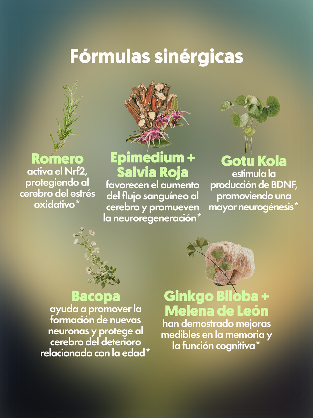 Lista de diversos ingredientes de MIND FOOD el Spray con adaptógenos de Xula Herbs 