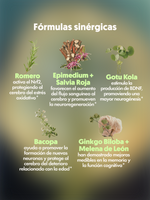 Lista de diversos ingredientes de MIND FOOD el Spray con adaptógenos de Xula Herbs 
