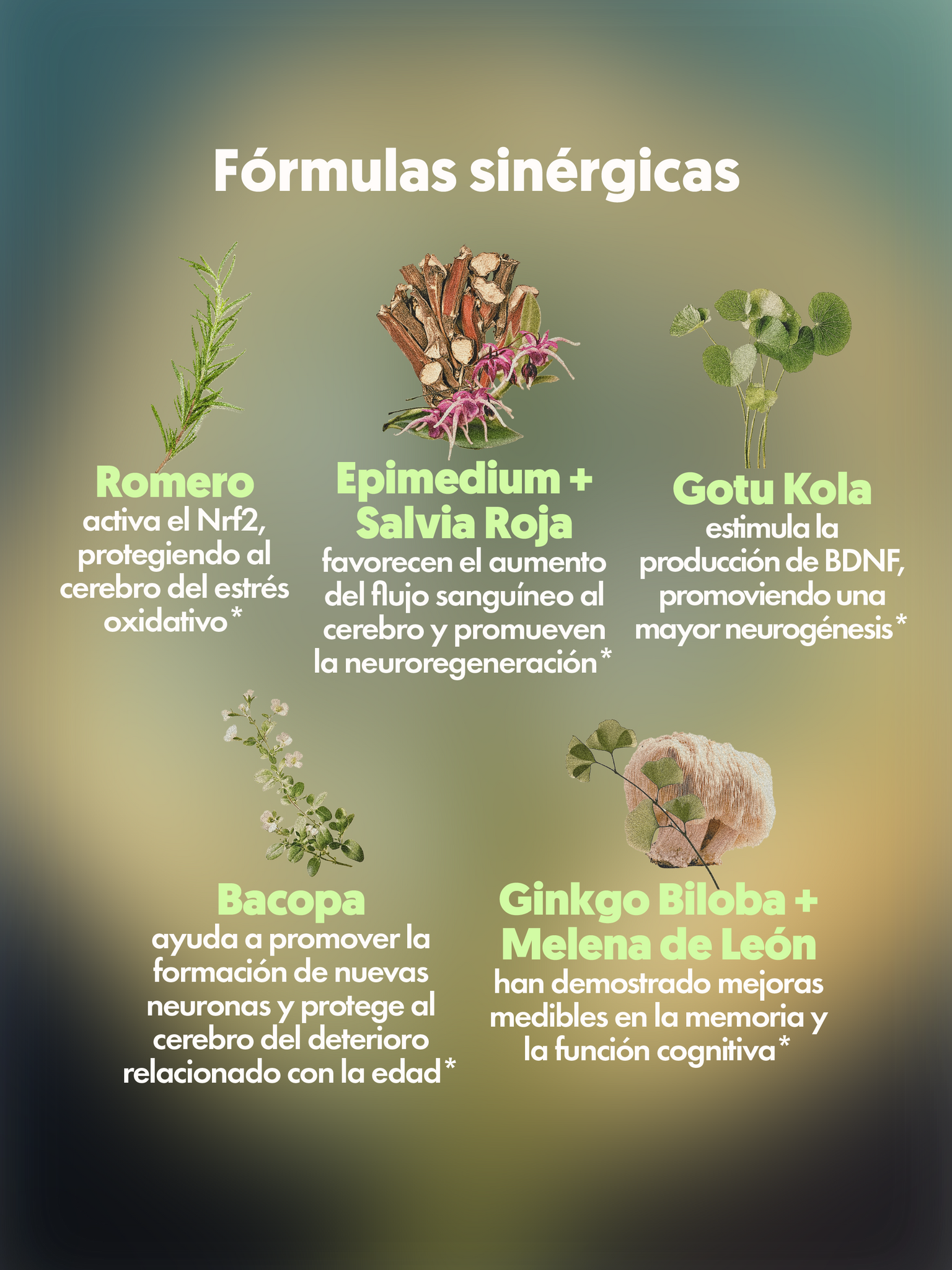 Lista de diversos ingredientes de MIND FOOD el Spray con adaptógenos de Xula Herbs 