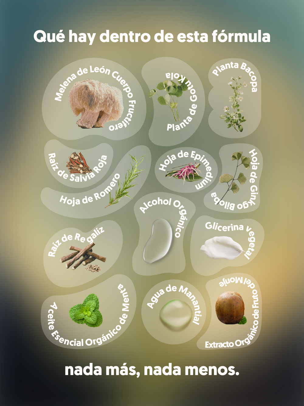  Ingredientes de MIND FOOD el Spray con adaptógenos: melena de león, gotu kola, romero, menta y otros.