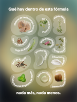  Ingredientes de MIND FOOD el Spray con adaptógenos: melena de león, gotu kola, romero, menta y otros.