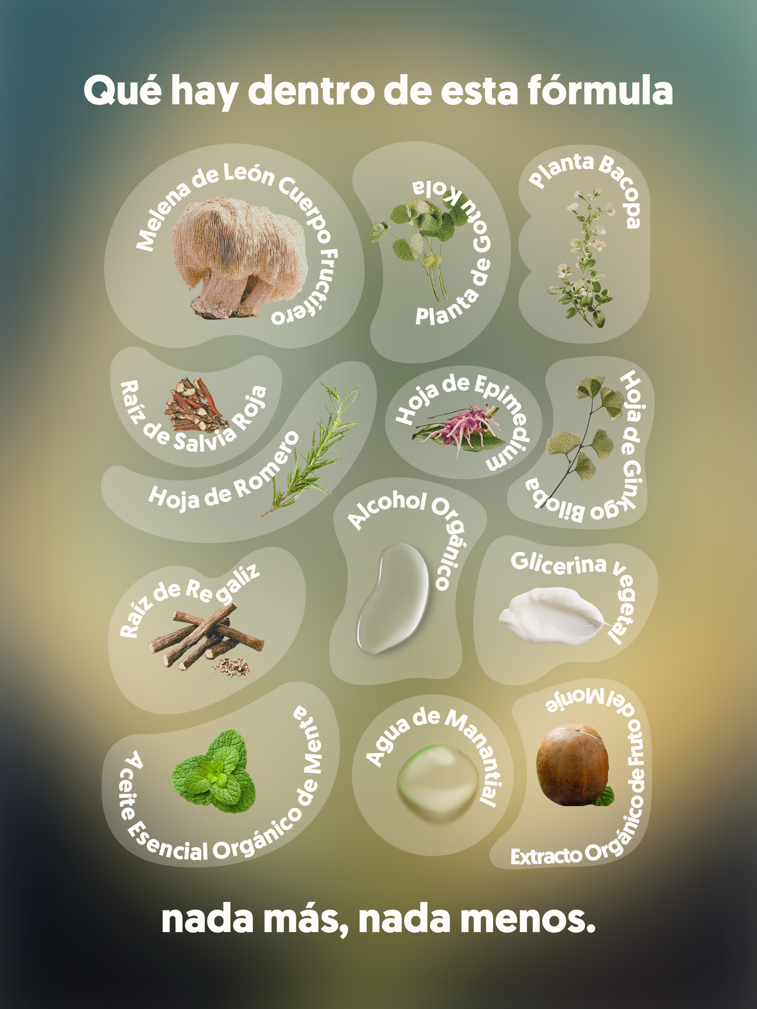  Ingredientes de MIND FOOD el Spray con adaptógenos: melena de león, gotu kola, romero, menta y otros.