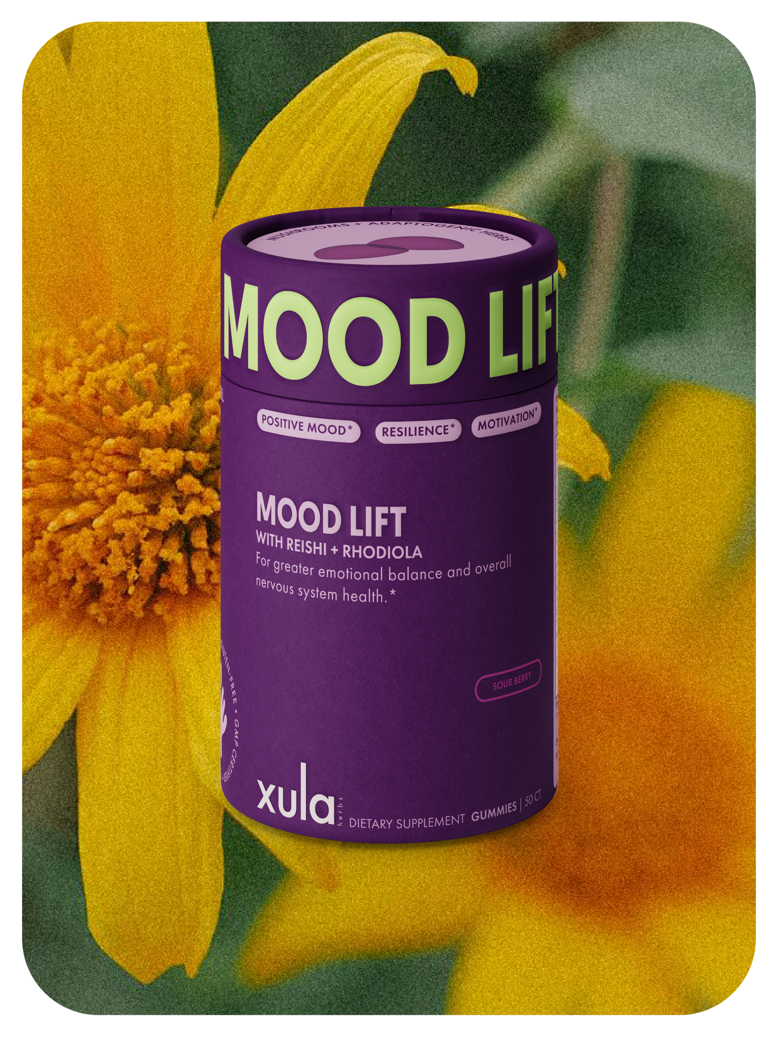Envase del suplemento MOOD LIFT unas Gomitas veganas de la marca Xula, enfocado sobre una flor amarilla desenfocada.