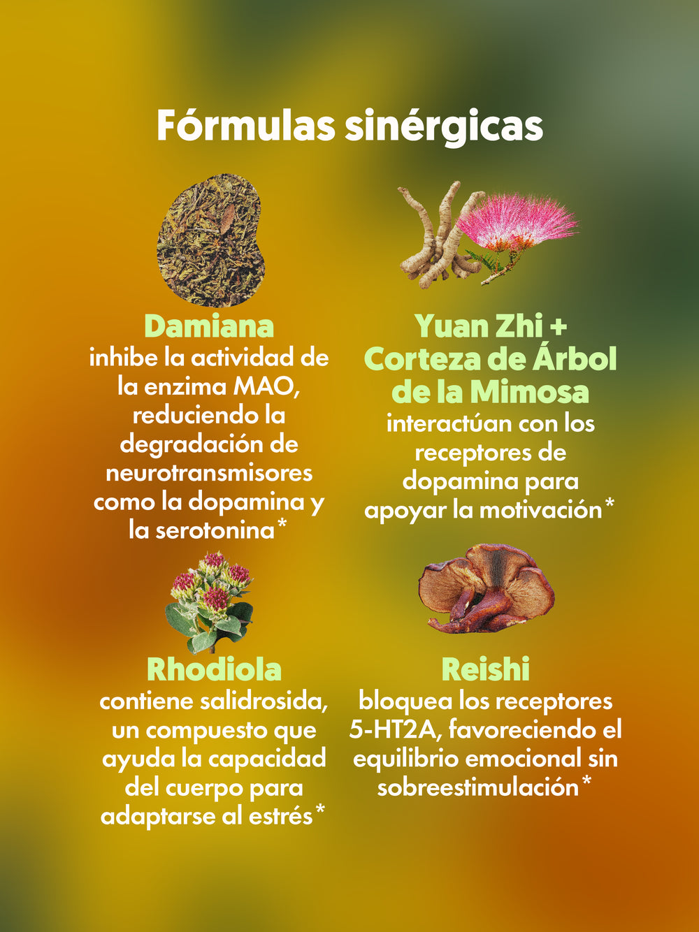 Infografía en español de MOOD LIFT unas Gomitas veganas, mostrando ingredientes como Damiana, Rhodiola y Reishi.