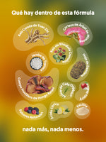 Un collage de los ingredientes naturales que se encuentran dentro de las gomitas adaptogénicas MOOD LIFT las  Gomitas veganas Xula.